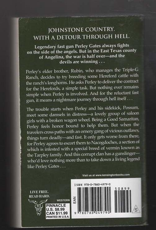 The Lonesome Gun Action Adventure fiction paperback used Western Books