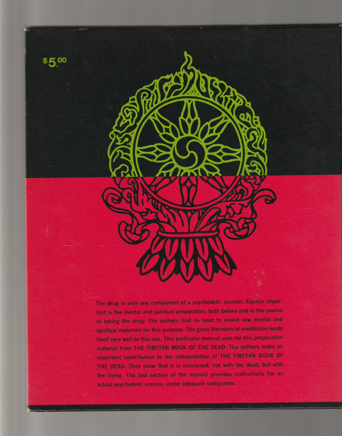 The Psychedelic Experience