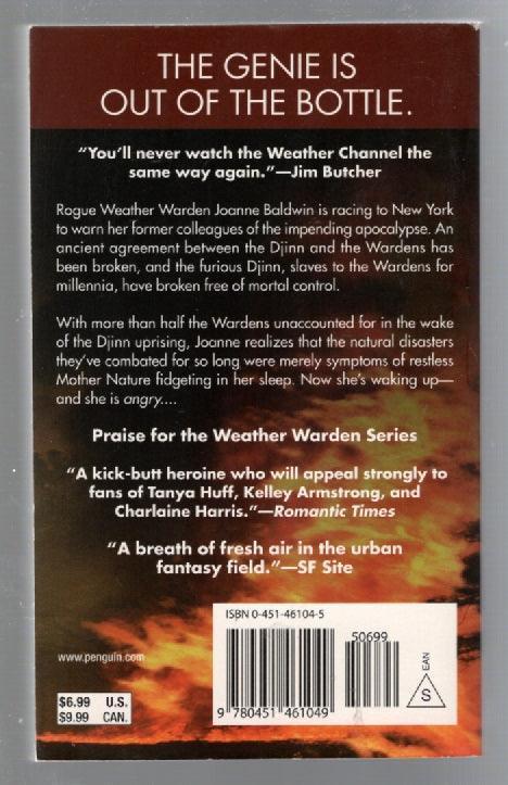 Firestorm Action Adventure fantasy Paranormal Paranormal Romance Romance Urban Fantasy used Books