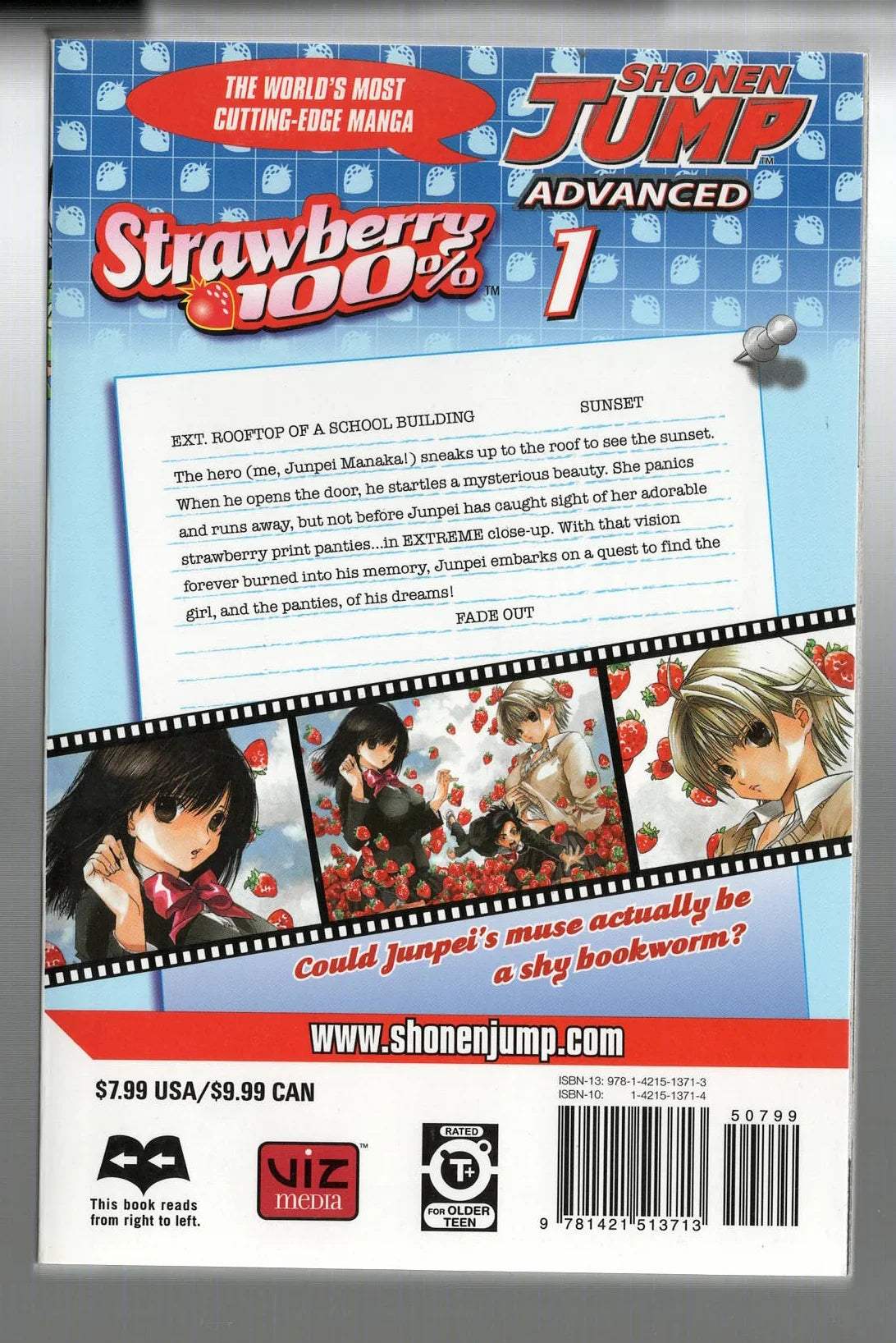 Strawberry 100% 1 - Hasberts