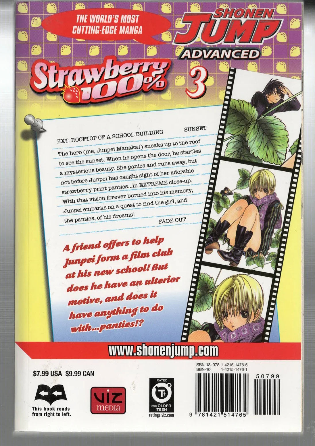 Strawberry 100% 3 - Hasberts