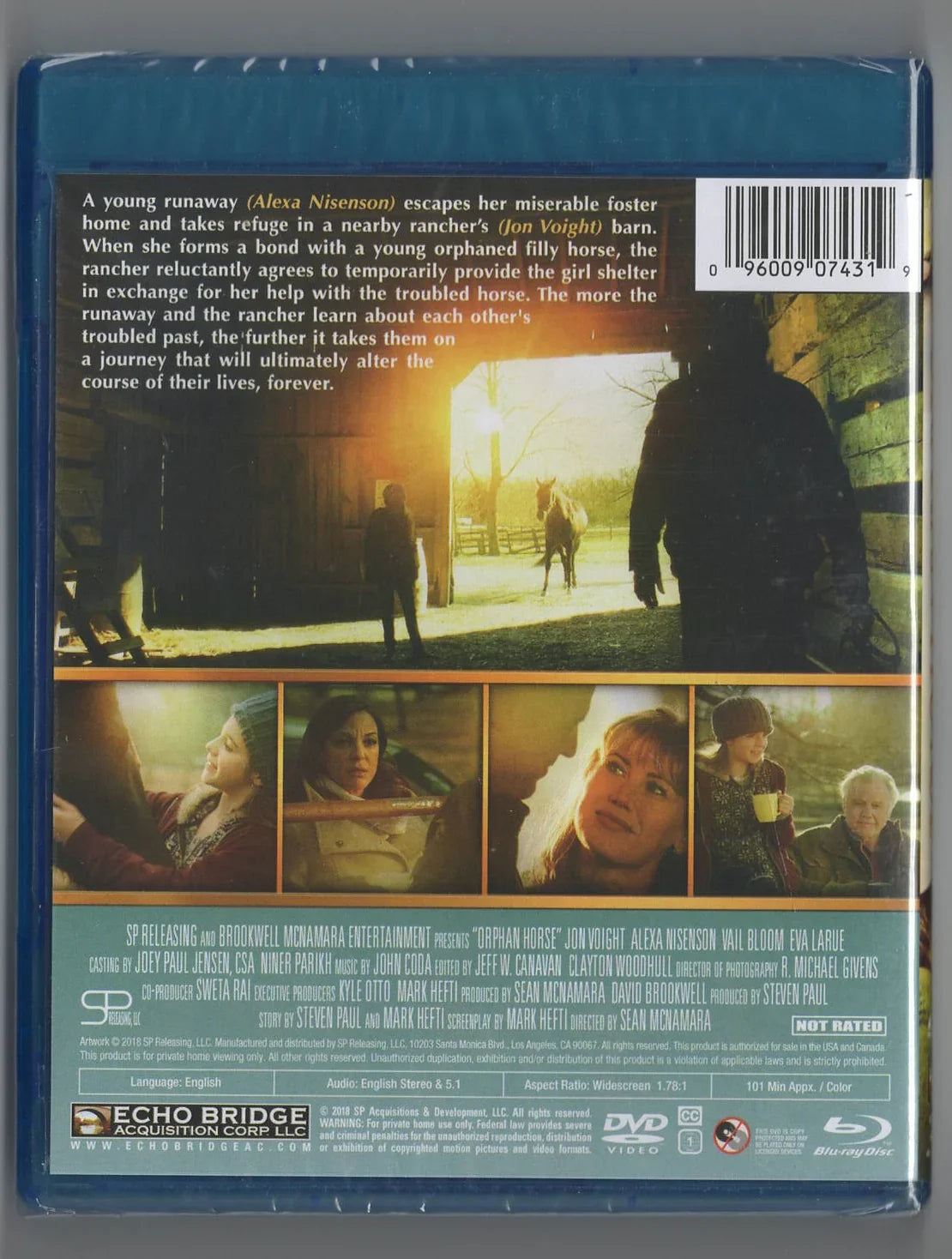 Orphan Horse - Hasberts