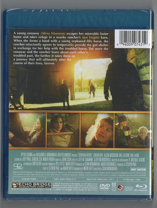 Orphan Horse - Hasberts