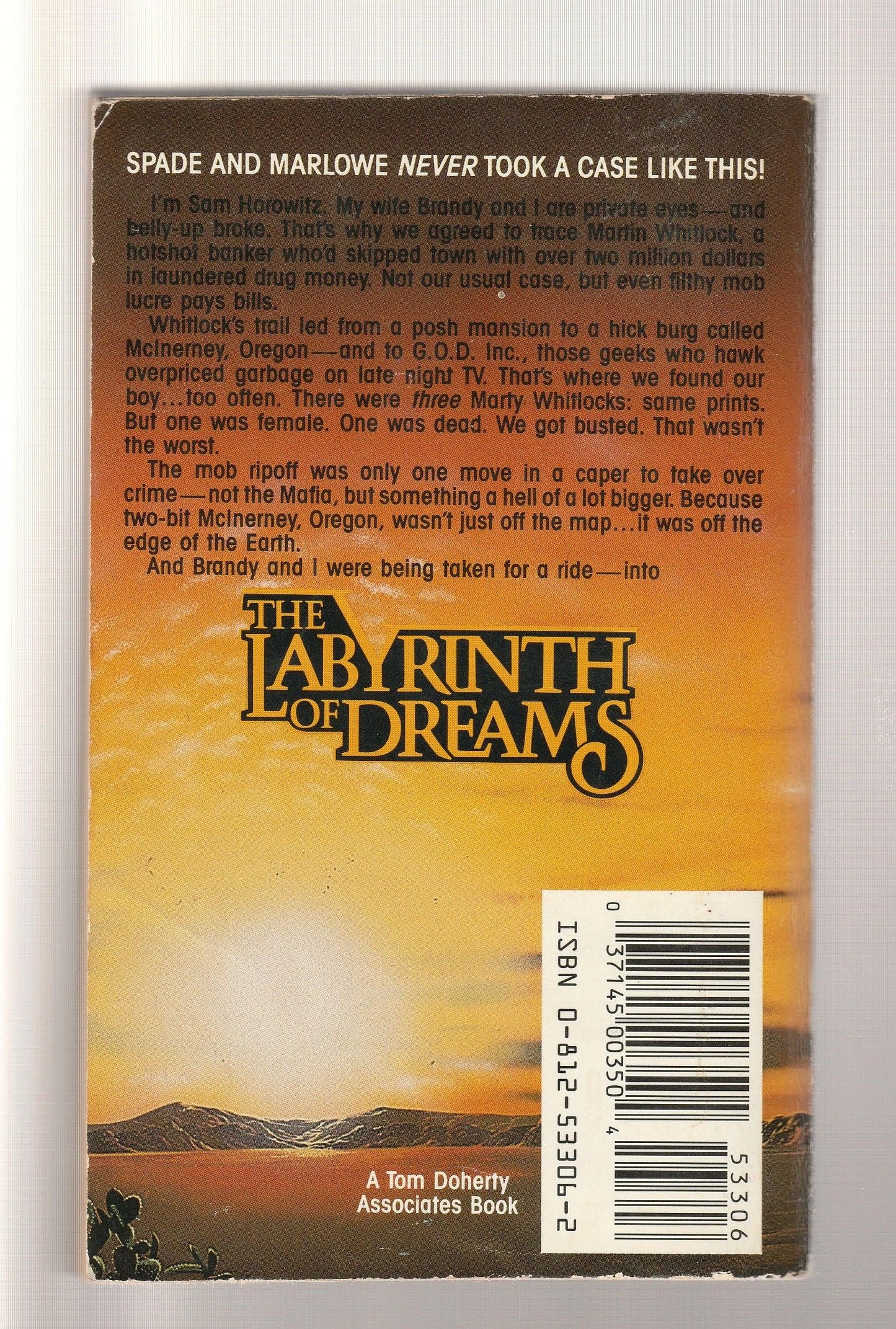 The Labyrinth Of Dreams fantasy fiction mystery paperback science fiction Science Fiction Fantasy used Books
