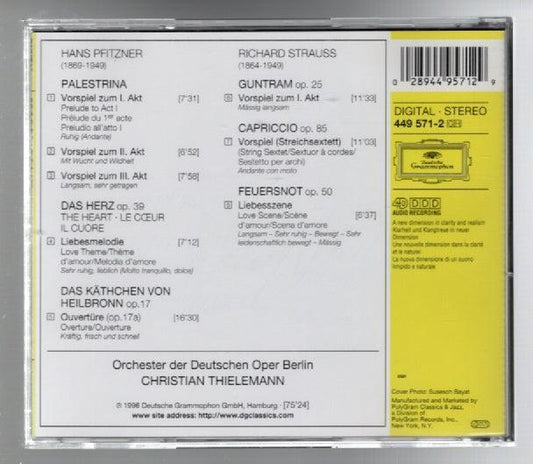 Christian Thielmann Pfitzner/Strauss - Hasberts