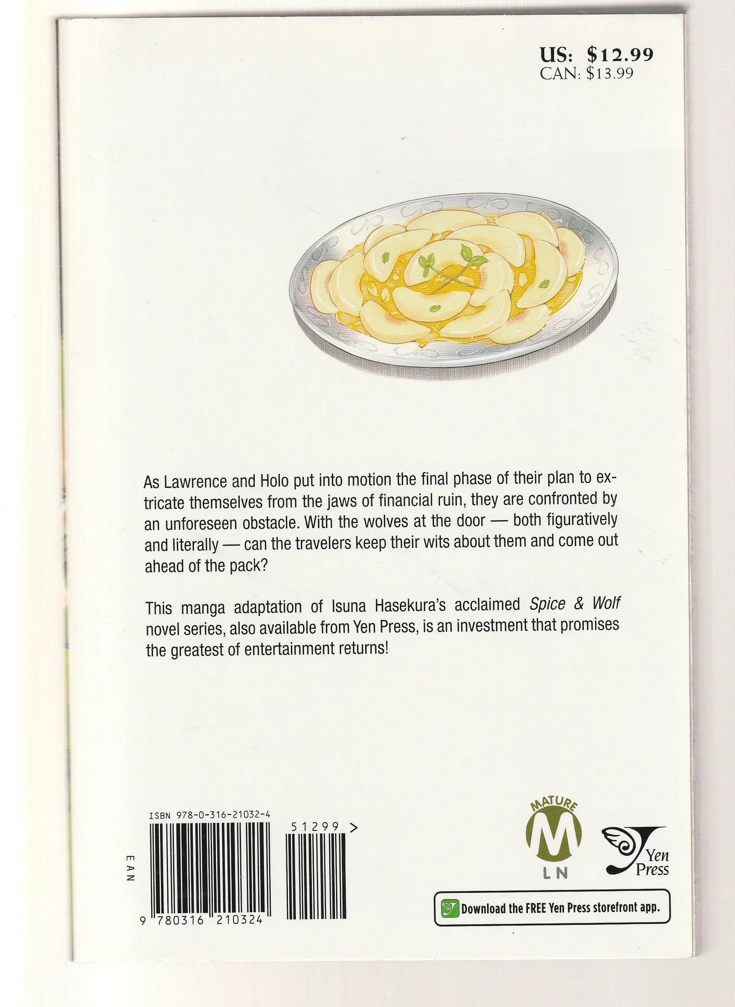 Spice & Wolf Volume 6