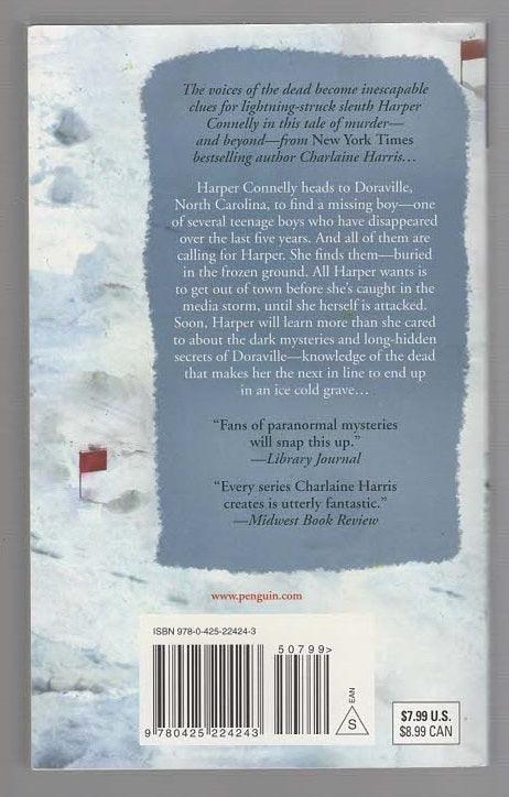 An Ice Cold Grave Crime Fiction Detective Fiction Ghost mystery used Books