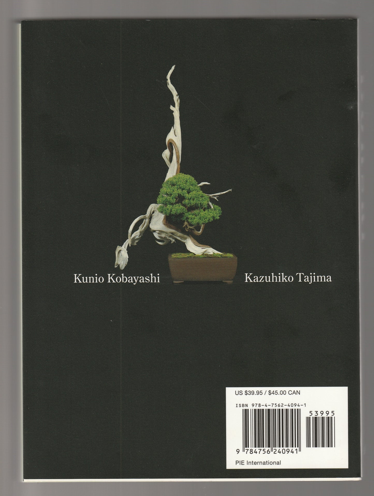 Bonsai