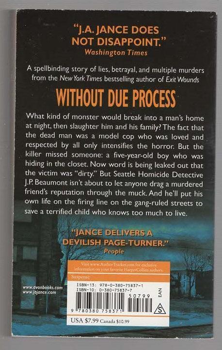Without Due Process Cozy Mystery Crime Fiction Detective Fiction mystery used Books
