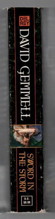 Sword in The Storm fantasy paperback used book