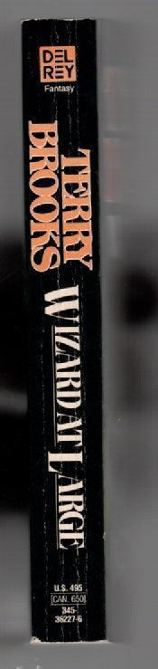 Wizard At Large fantasy paperback used book