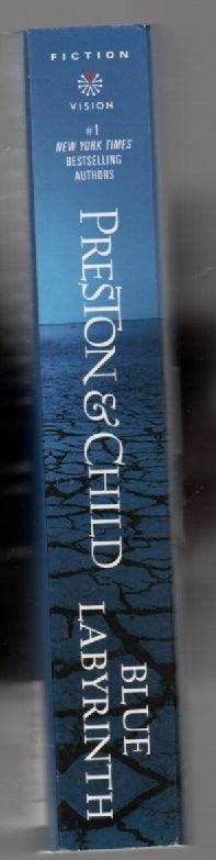 Blue Labyrinth paperback Suspense thrilller used book