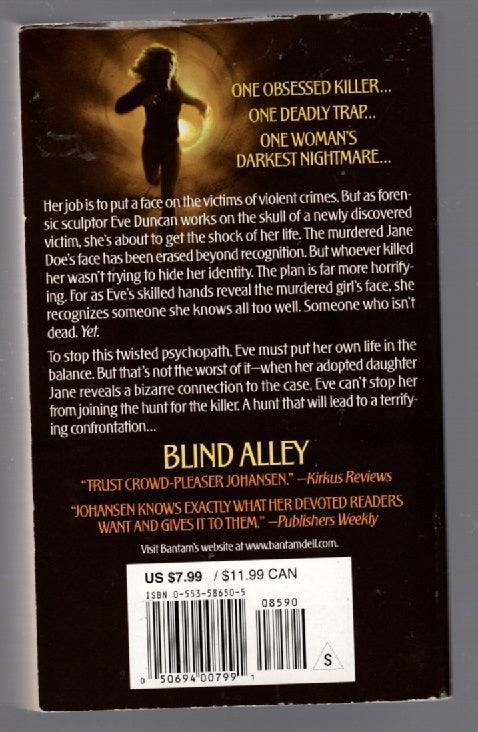 Blind Alley Crime Fiction paperback thrilller used Books
