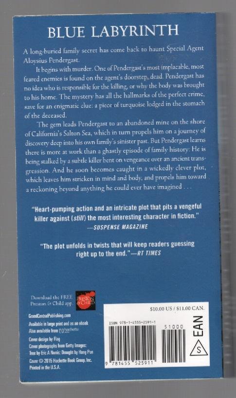 Blue Labyrinth paperback Suspense thrilller used book