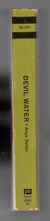 Devil Water Classic Literature paperback used Vintage Books