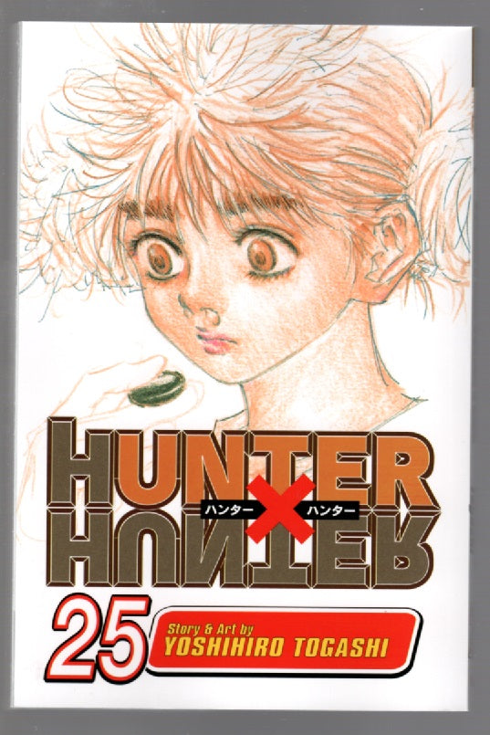 Hunter X Hunter Manga Volume 25
