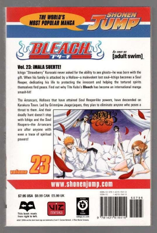 Bleach Vol. 23 - Hasberts