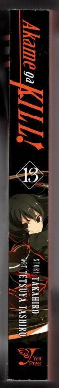 Akame ga Kill! Vol. 13 thrilller