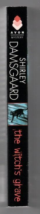 The Witch's Grave Crime Fiction fantasy mystery paperback used book