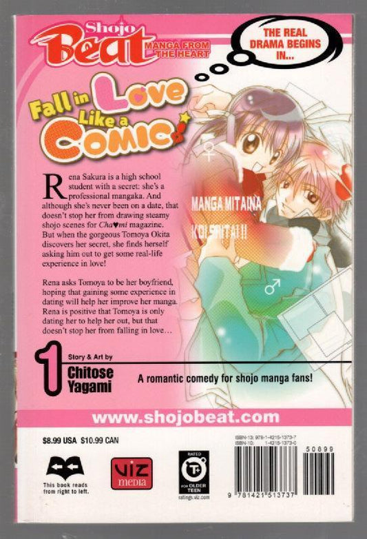Fall in Love Like a Comic Vol. 1 Romance used Young Adult Books