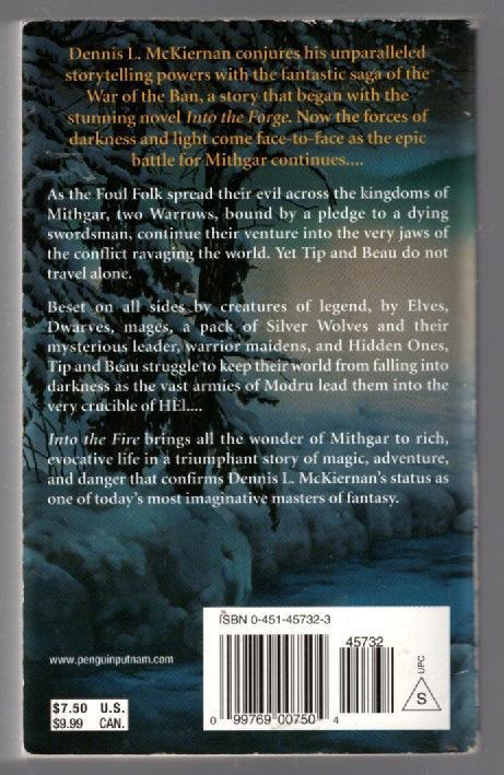 Into the Fire fantasy paperback used Books