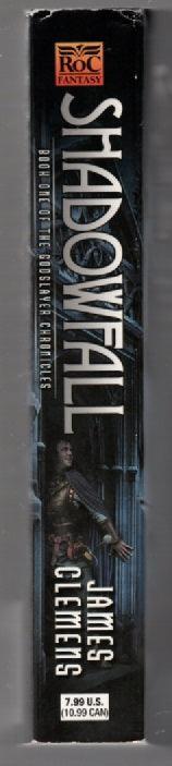 Shadowfall fantasy paperback used Books
