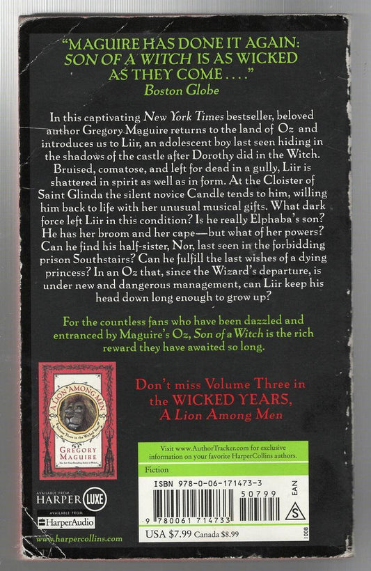 Son of a Witch fantasy paperback used Books