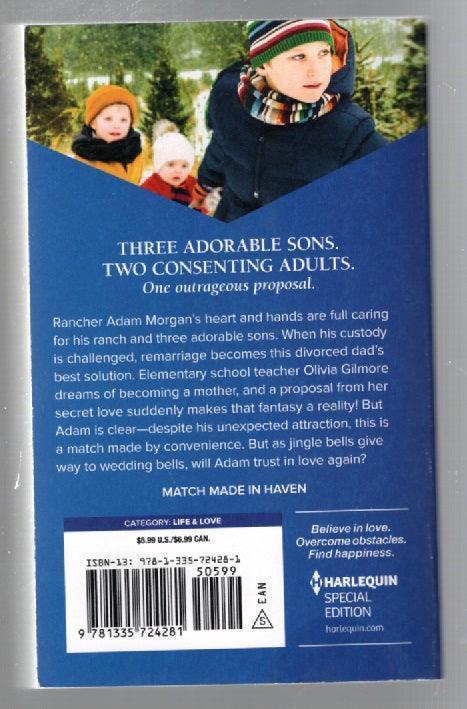 Countdown To Christmas Romance used Books