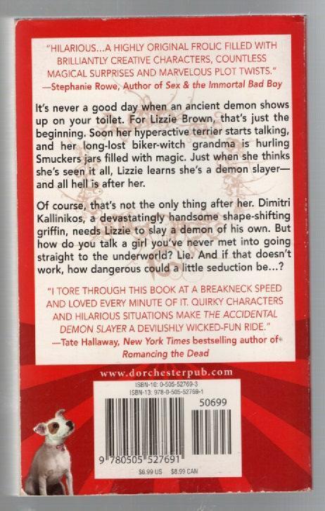 The Accidental Demon Slayer Paranormal Romance Romance Urban Fantasy used Vampire Books