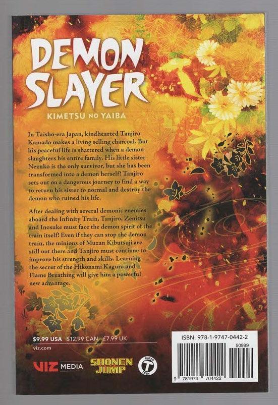 Demon Slayer Vol. 8 fantasy Graphic Novels Manga science fiction Books