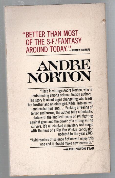 Dream Companion fantasy used Vintage Books