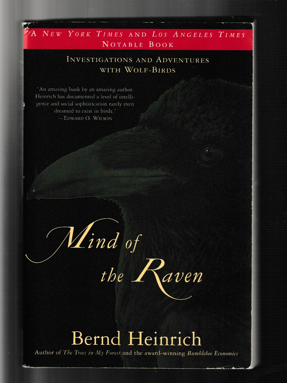 Mind of The Raven