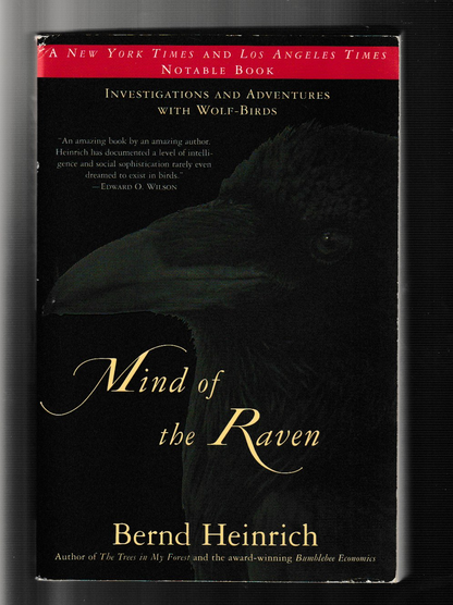 Mind of The Raven