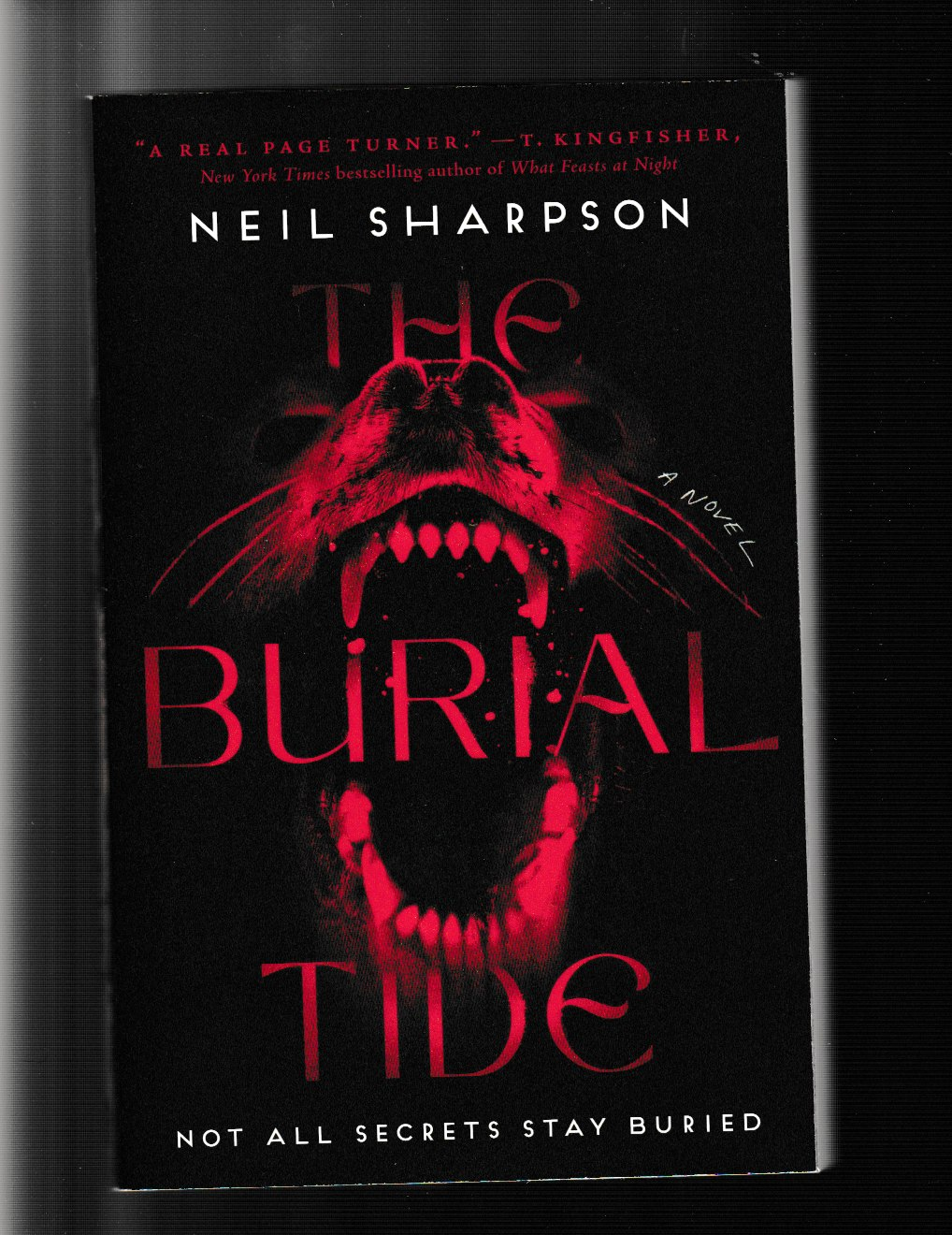 March 2026 Nightmare on Meeker Street Book Club Selection - The Burial Tide