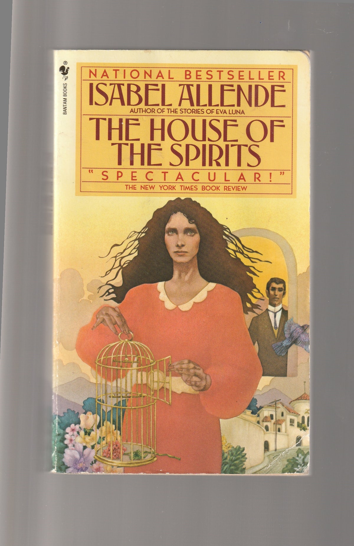 The House of the Spirits