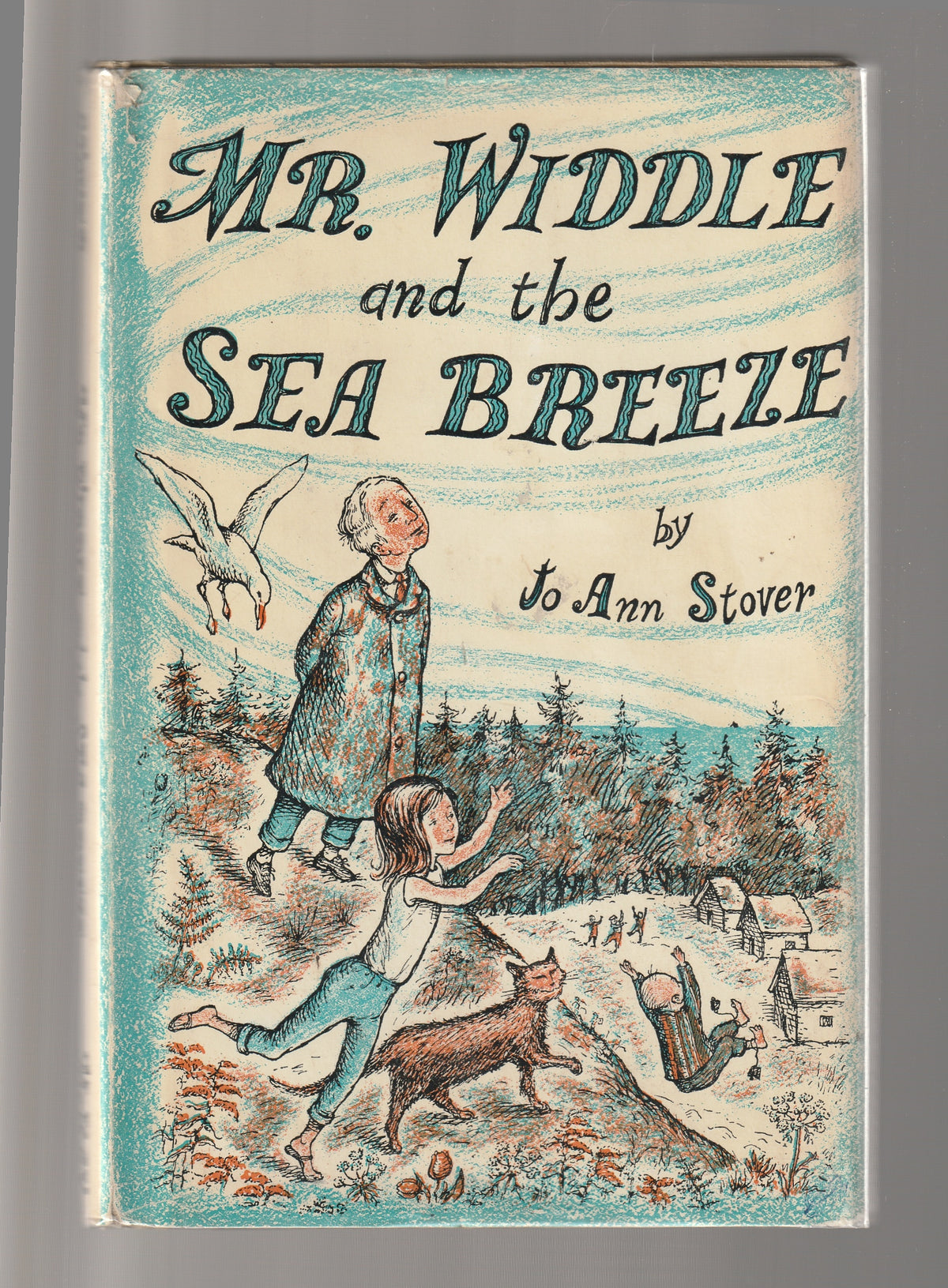 Mr. Widdle and the Sea Breeze Adventure books Children fiction imagination phenomena Short Stories whimsical book