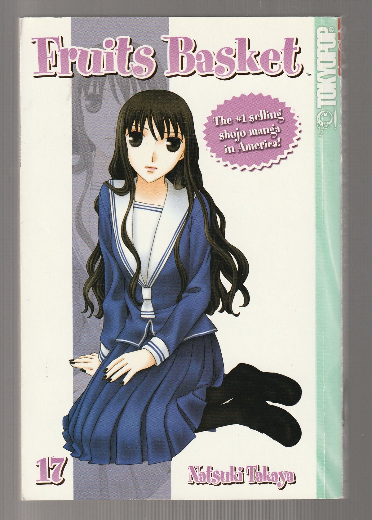 Fruits Basket, Vol. 17 books comics comics manga fantasy fantasy fiction fantasy manga fiction Graphic Novels Manga manga romance paperback Romance shojo used Young Adult young adult romance Books
