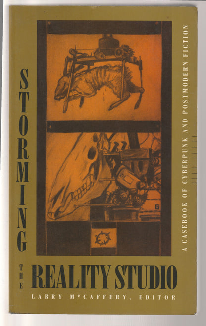 Storming The Reality Studio