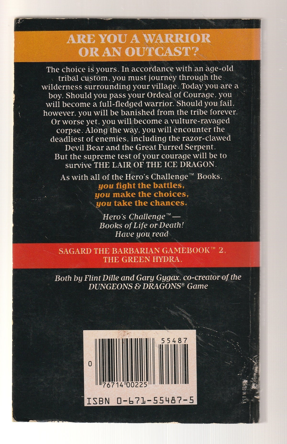Sagard the Barbarian: #1/The Ice Dragon