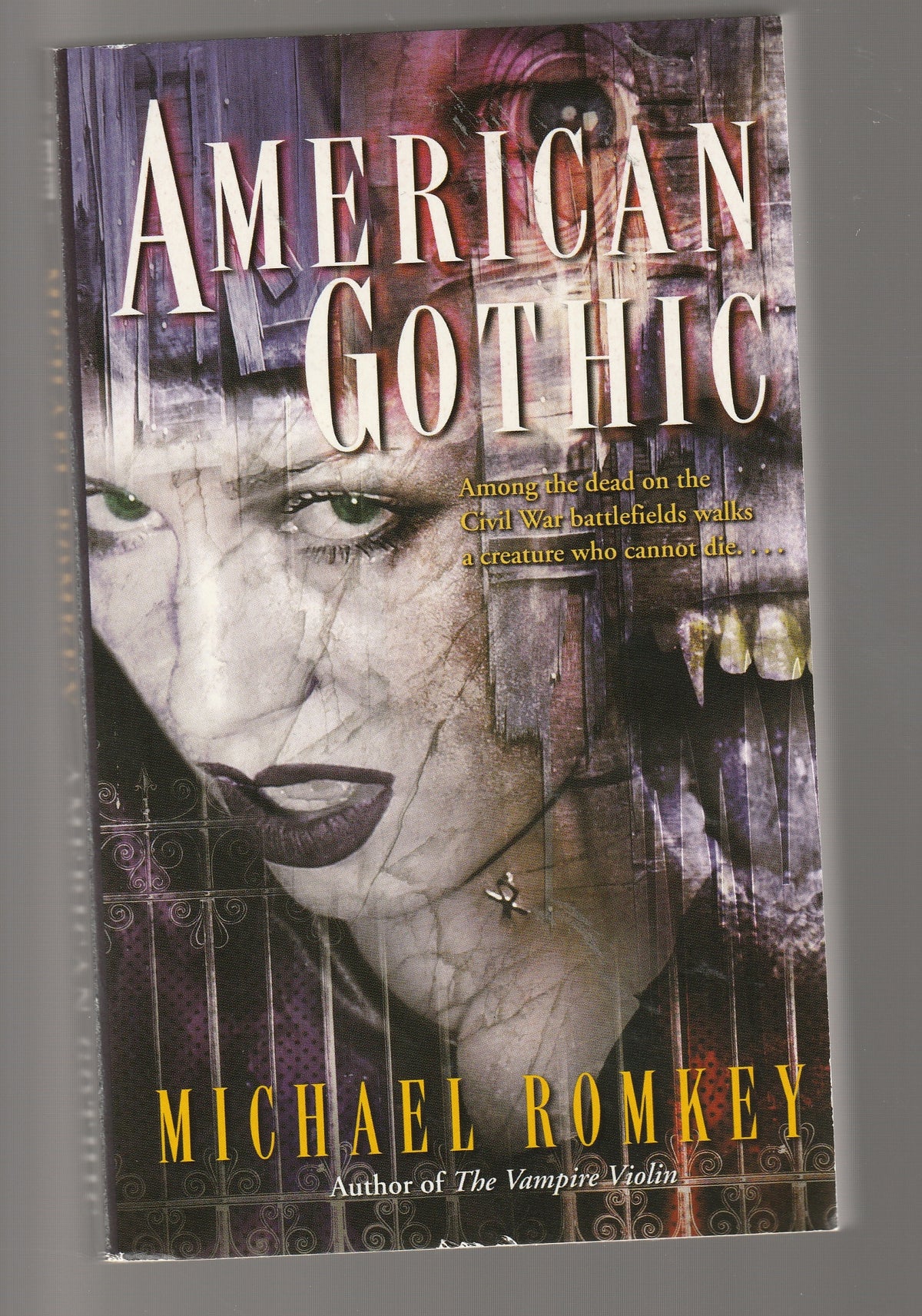 American Gothic American Civil War books Civil War fantasy fantasy fiction fiction Gothic gothic-horror horror paperback Paranormal paranormal fantasy paranormal horror Sci-Fi Sci-fi fantasy sci-fi horror science fiction Science Fiction Fantasy Supernatural supernatural fantasy used Vampire Vampires War war fiction Books