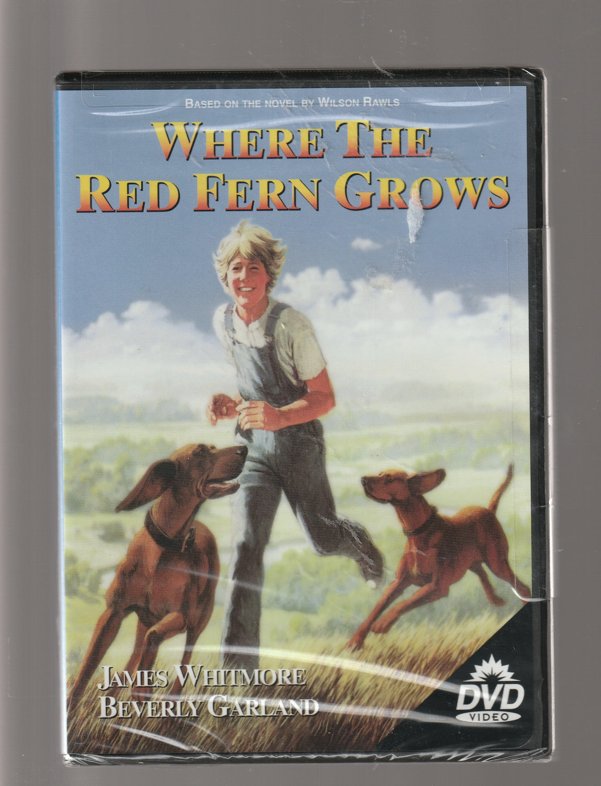 Where the Red Fern Grows 1970s movies Animals Dog Drama dvd Family Family Drama Family Friendly fiction Movies Pet used dvd
