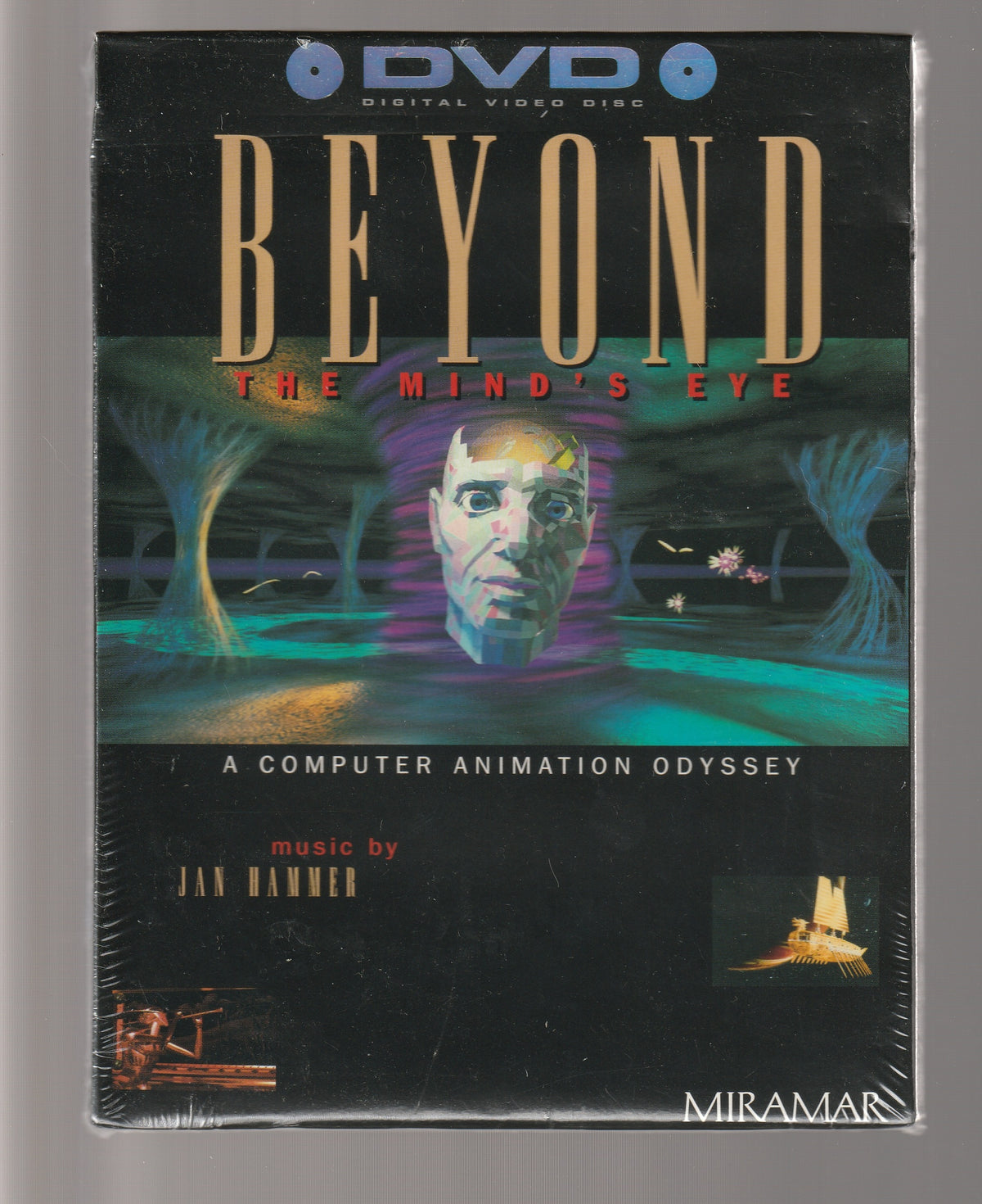 Beyond the Mind's Eye