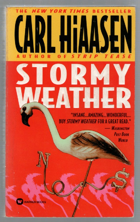 Stormy Weather Action Crime Fiction Detective Fiction Humor mystery Books