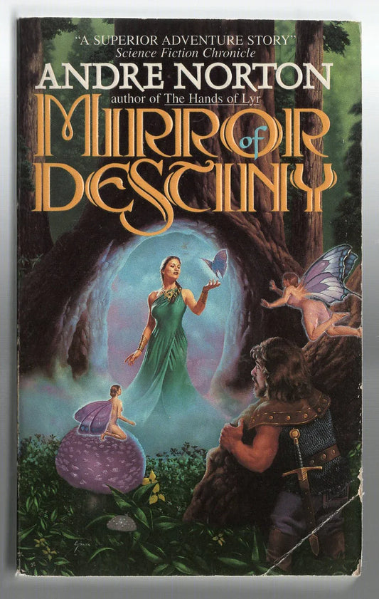 Mirror of Destiny fantasy High Fantasy Science Fiction Fantasy Speculative Fiction used Books