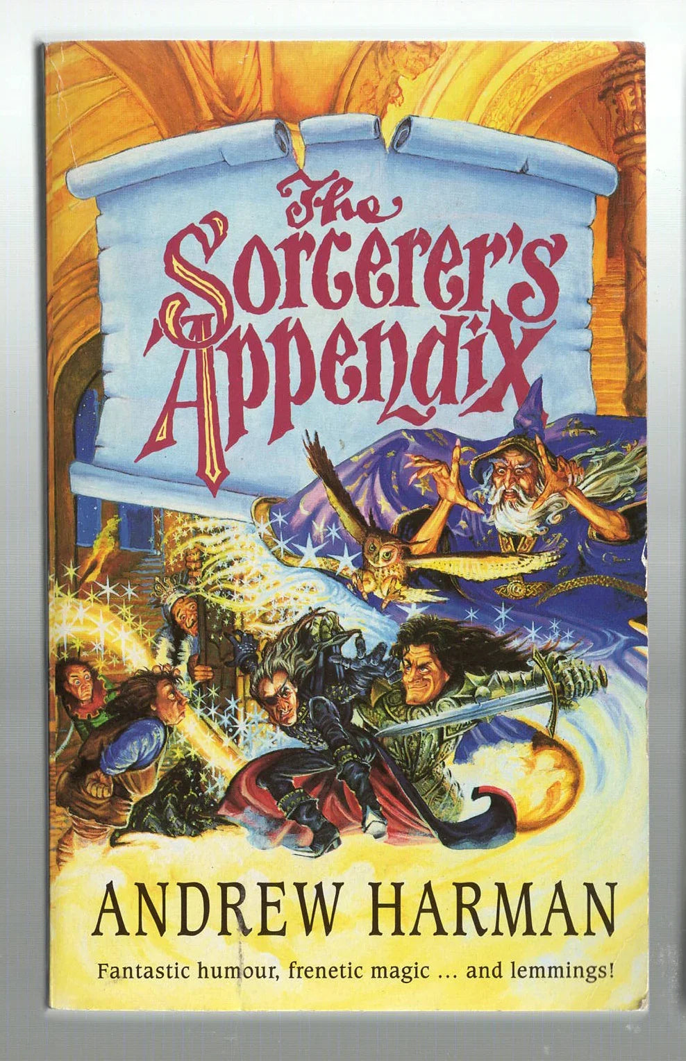 The Sorcerer's Appendix Adventure Epic Fantasy fantasy High Fantasy Humor magic used Books