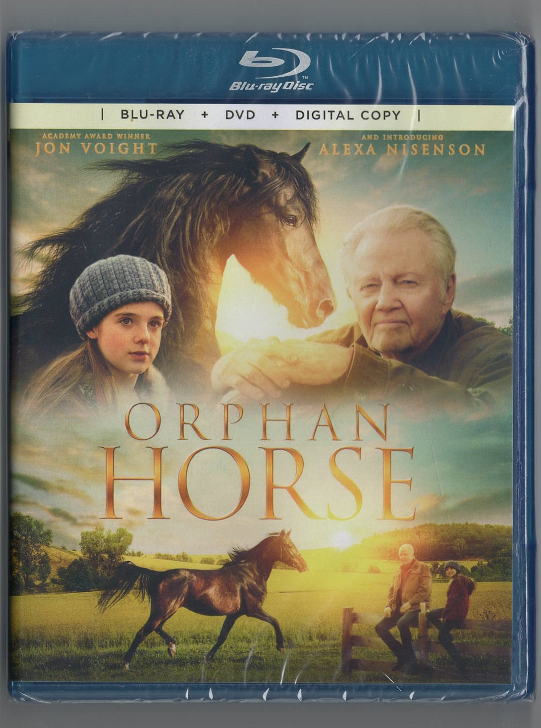 Orphan Horse