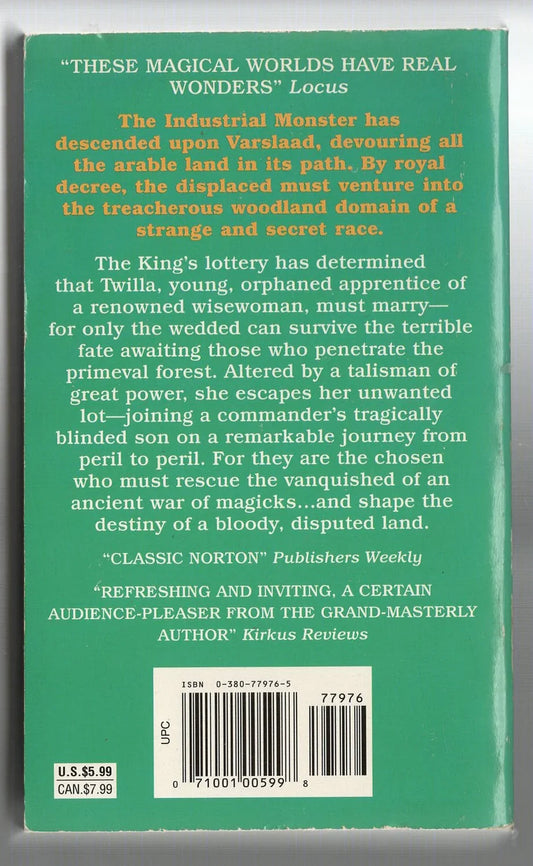 Mirror of Destiny fantasy High Fantasy Science Fiction Fantasy Speculative Fiction used Books