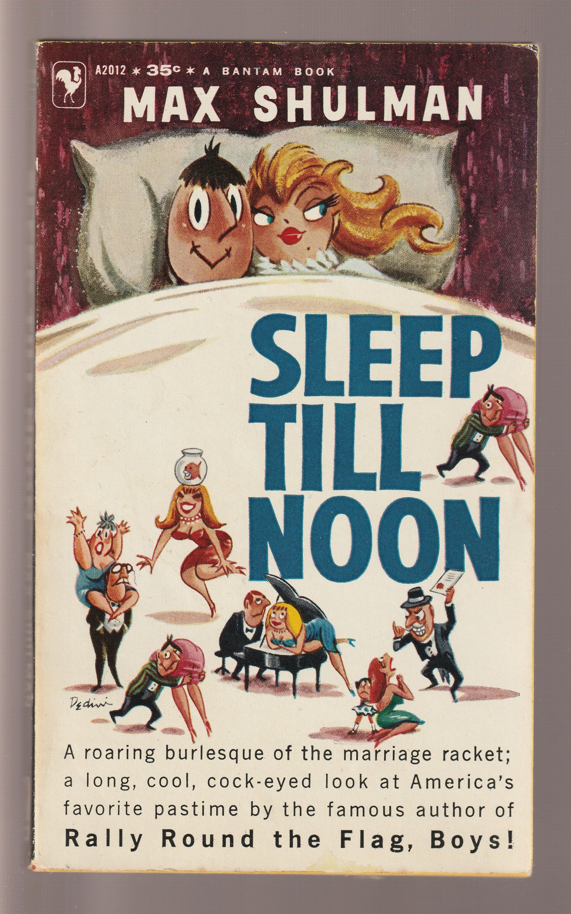 Sleep Till Noon Comedy Dark Comedy Humor paperback Screwball Comedy used Vintage Books