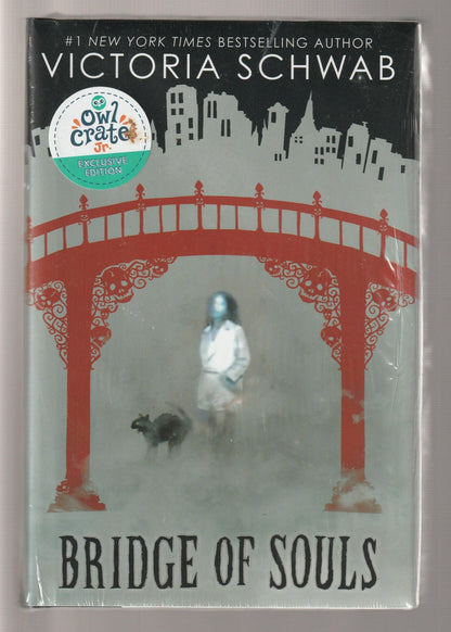 Bridge Of Souls fantasy Ghost ghost story Hardback Hardcover horror Paranormal Science Fiction Fantasy Urban Urban Contemporary Urban Fantasy used ya Young Adult Books