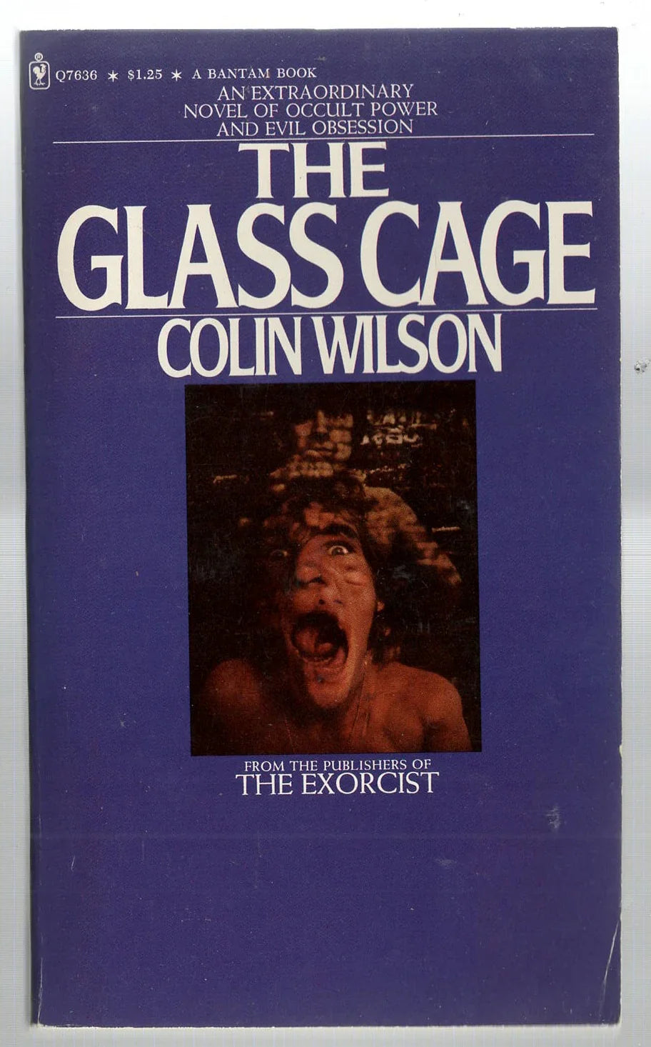 The Glass Cage Crime Fiction horror mystery thriller used Vintage Books